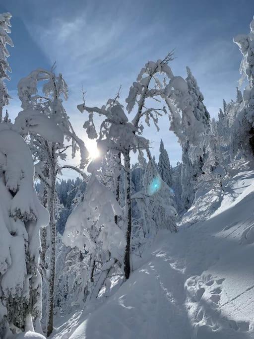 Stube9 Am Feldberg, Direkt An Der Skipiste, Ski In-Ski Out Feldberg  Eksteriør bilde