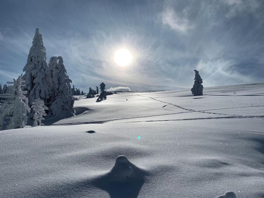 Stube9 Am Feldberg, Direkt An Der Skipiste, Ski In-Ski Out Feldberg  Eksteriør bilde